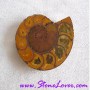 Ammonite Fossil / ฟอสซิลหอย [71652]