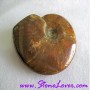 Ammonite Fossil / ฟอสซิลหอย [71628]
